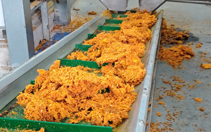 廢渣變“金料”！晟啟方案賦能食品企業(yè)，打造產業(yè)盈利新路徑